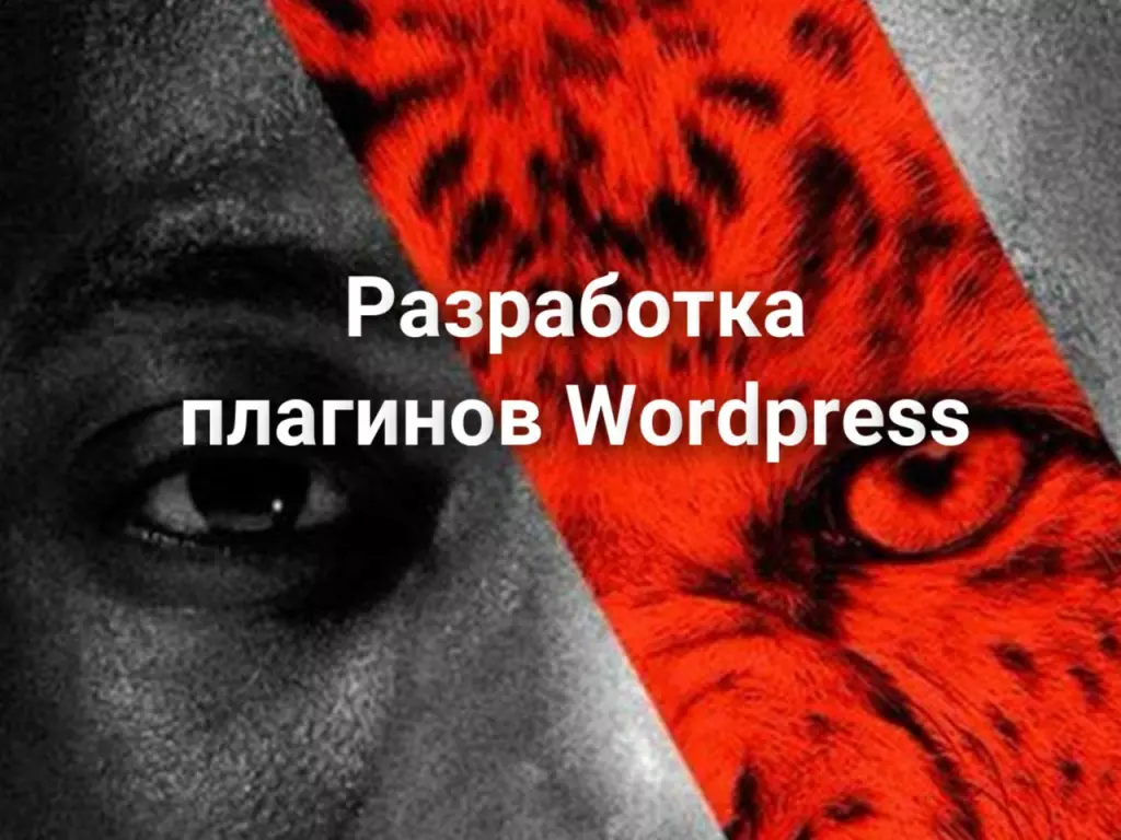 Разработка плагинов Wordpress